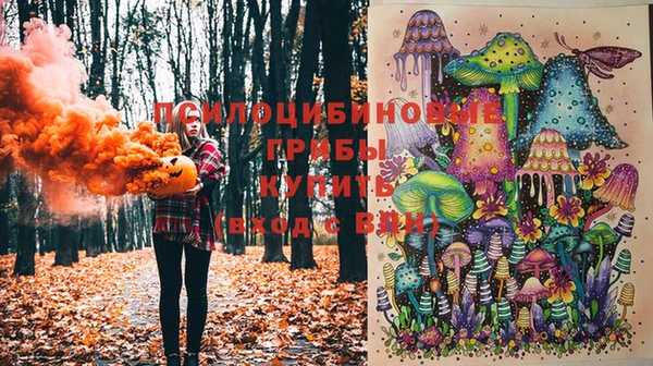 МДПВ Алзамай
