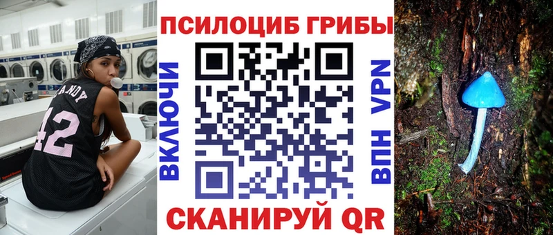 как найти закладки  Николаевск  гидра маркетплейс  Псилоцибиновые грибы GOLDEN TEACHER 